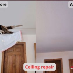 Ceiling Repair